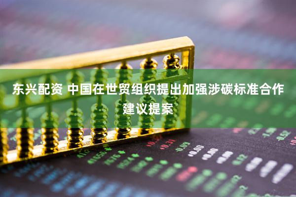 东兴配资 中国在世贸组织提出加强涉碳标准合作建议提案