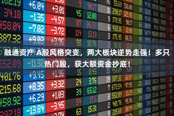 融通资产 A股风格突变，两大板块逆势走强！多只热门股，获大额资金抄底！
